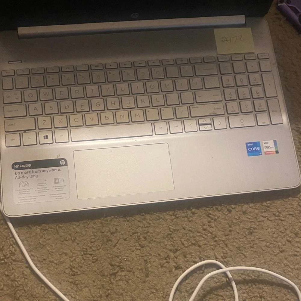 HP Silver Laptop with Blue Screen